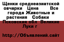 Щенки среднеазиатской овчарки › Цена ­ 1 - Все города Животные и растения » Собаки   . Псковская обл.,Великие Луки г.